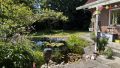 Gartenteich
